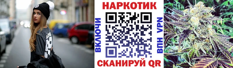 Псилоцибиновые грибы Сунжа
