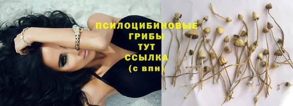 apvp Надым