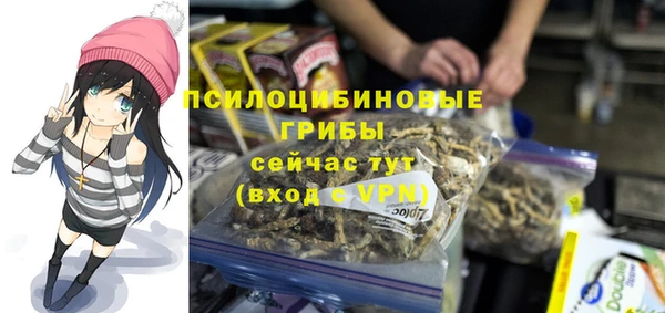 apvp Надым