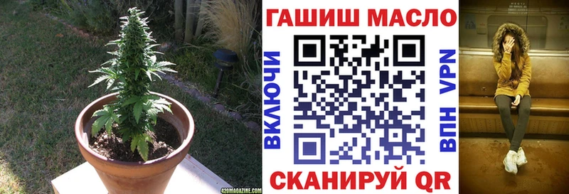 закладки Сунжа MEGA как зайти Дистиллят ТГК гашишное масло
