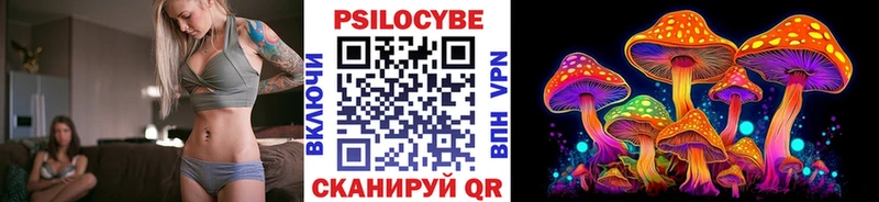где купить наркотик Сунжа Псилоцибиновые грибы ЛСД