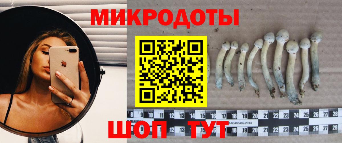 Псилоцибиновые грибы мухоморы  закладки  Сунжа 