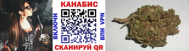 Бошки марихуана гибрид  Сунжа 